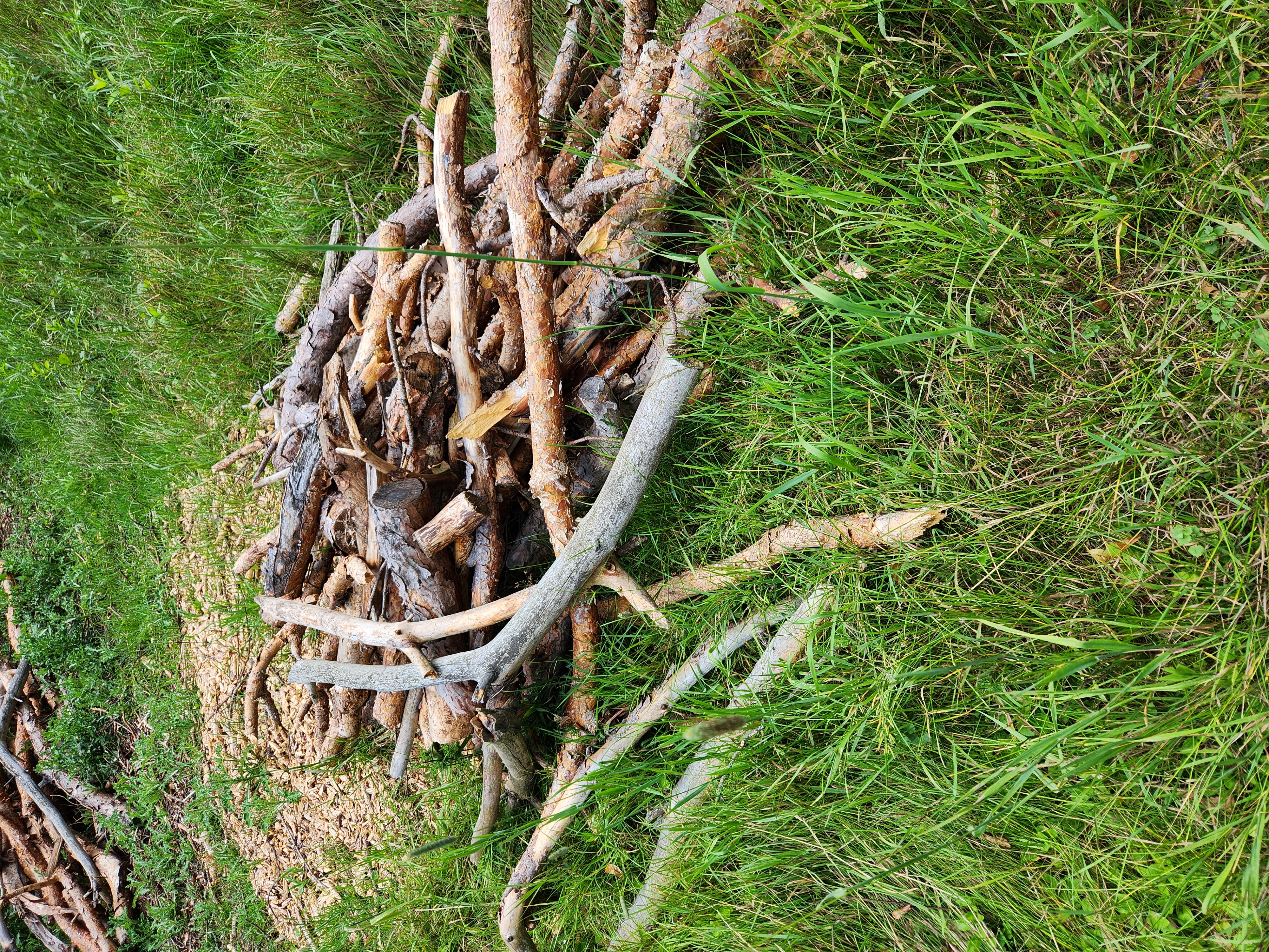 brush pile